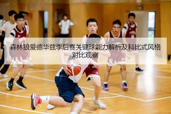 森林狼爱德华兹季后赛关键球能力解析及科比式风格对比观察